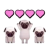 PUGS  MOV 8
