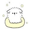 Cotton Candy Pup 13