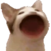 Yayaya 7