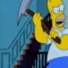 Homero Simpson mov 14