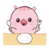 Cupatkai the Pig! 12
