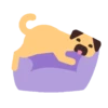 PUGS  MOV 11