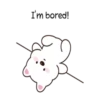️White Bear Terry is cute 11