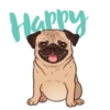 PUGS  MOV 12