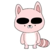Pink Racoon Pingue 8