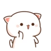 MOCHIS CAT Extra"C" MOV 14