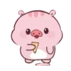 Cupatkai the Pig! 15