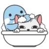 Gatito bonito   MOV 7