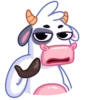 Mooing CowMov 15