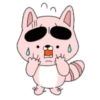 Pink Racoon Pingue 9