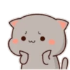 MOCHIS CAT Extra"C" MOV 16