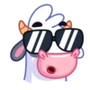 Mooing CowMov 17