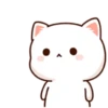 MOCHIS🐈CAT Extra"D" MOV 7