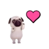 PUGS  MOV 16