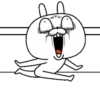 Expressive Rabbit Mov 18