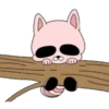 Pink Racoon Pingue 12