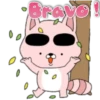 Pink Racoon Pingue 13
