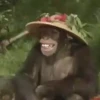 Changuitos  Mov 20