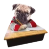 PUGS  MOV 18
