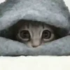 я слежу за тобой 21