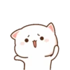 MOCHIS🐈CAT Extra"D" MOV 9