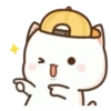 MOCHIS CAT Extra"D" MOV 11