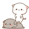 MOCHIS🐈CAT Extra"D" MOV 12