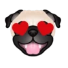 PUGS  MOV 20