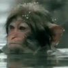 Changuitos  Mov 23
