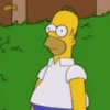 Homero Simpson mov 23