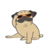 PUGS  MOV 22
