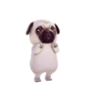 PUGS  MOV 23