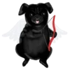 PUGS  MOV 24