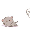 MOCHIS🐈CAT Extra"D" MOV 15