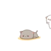 MOCHIS🐈CAT Extra"D" MOV 16