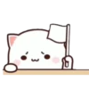 MOCHIS🐈CAT Extra"D" MOV 18