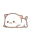 MOCHIS CAT Extra"C" MOV 20