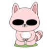 Pink Racoon Pingue 19