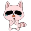 Pink Racoon Pingue 20