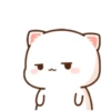 MOCHIS🐈CAT Extra"D" MOV 21