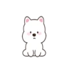 ️White Bear Terry is cute 20