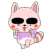 Pink Racoon Pingue 23