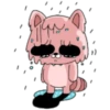 Pink Racoon Pingue 24