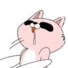 Pink Racoon Pingue 25