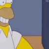 Homero Simpson mov 29