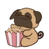 PUGS  MOV 29