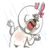 Hello! Bunny 23