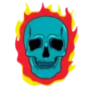 Cráneo total 2