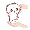 Cat's meow  .MOV 5