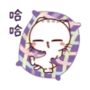 Cat's meow  .MOV 7